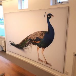 Textielframe